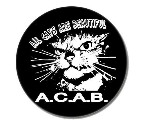 All cats are beautiful - cats,
